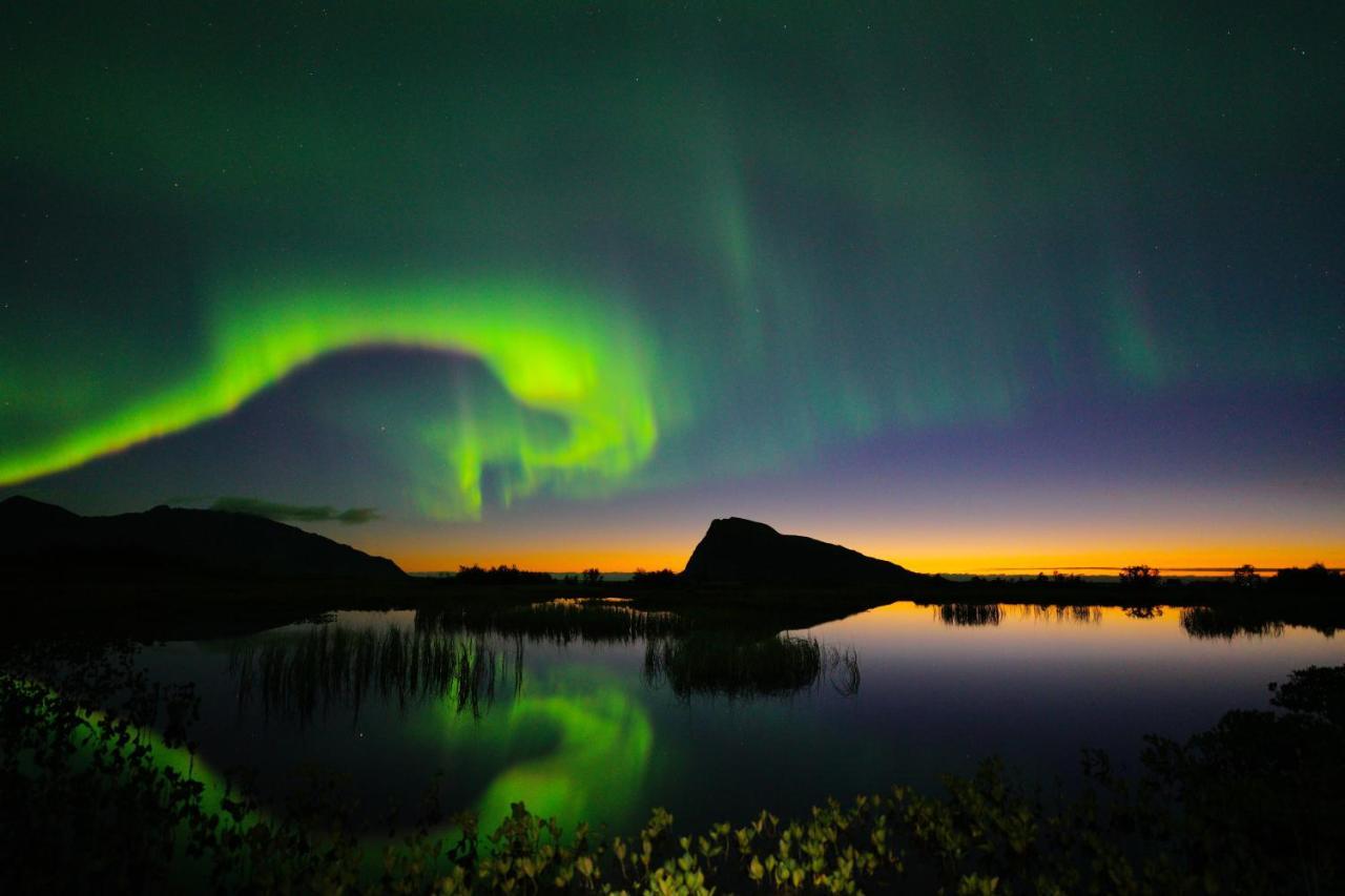 Lofoten Holiday Kabelvåg Exteriör bild